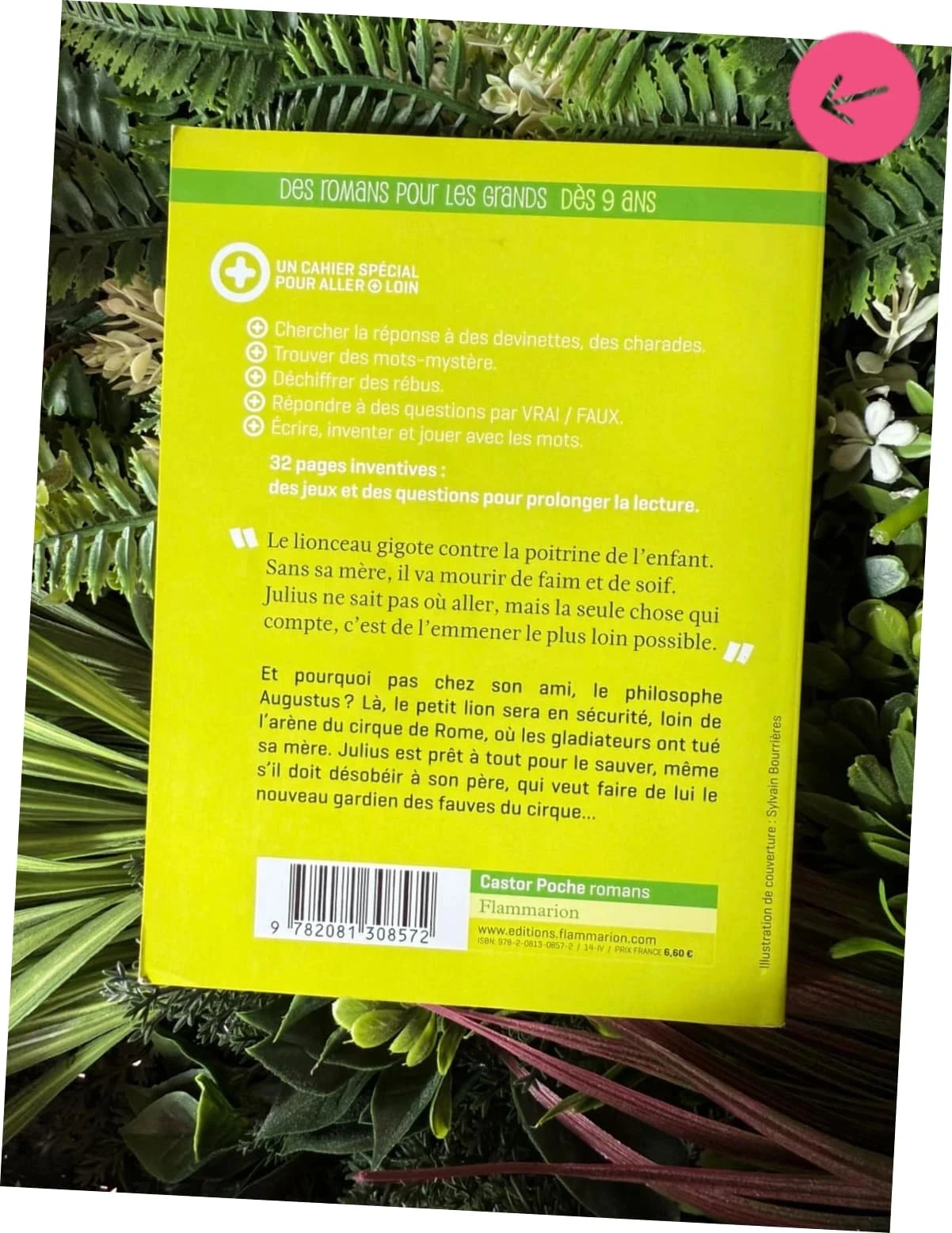 Livre pour le collège, le Lion de Julius – photo 5
